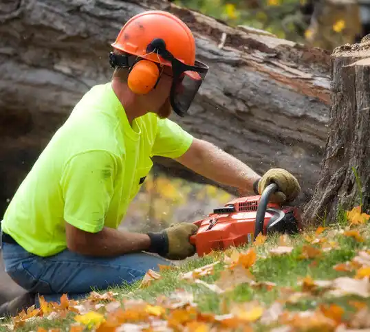 tree services Cottonport